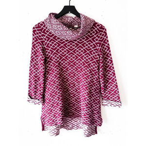 Anthropologie Moth Cozy Winter Alpaca Cowl Neck Sweater Tunic XS